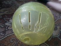 Прогулочный шар для сирийских хомяков