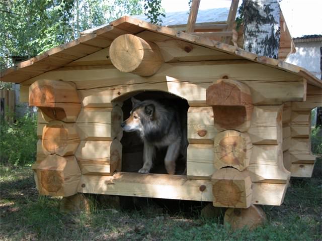 Если сруб вашего дома деревянный, можно выполнить аналогичную постройку и для питомца