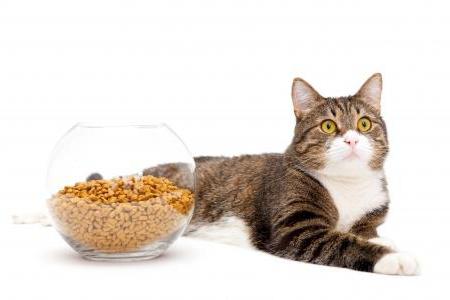 сухой корм савара для кошек