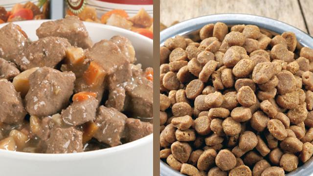 Какой лучше корм для собак - сухой или натуральный?