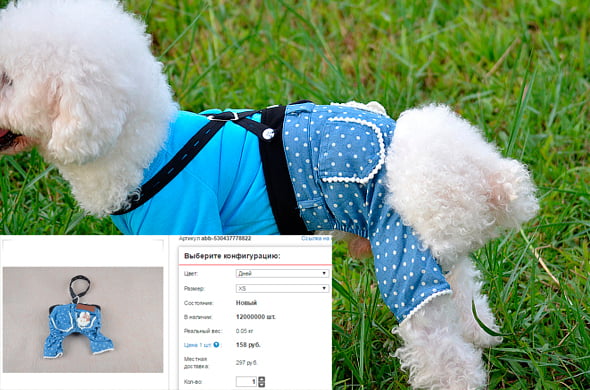 Одежда для собак на Алиэкспресс: как подобрать размер