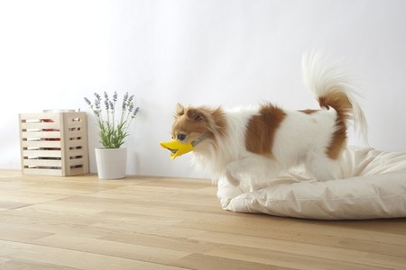 Клювы для собак – японское изобретение Quack Muzzle — фото 3