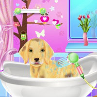 Игра Мыть собак онлайн