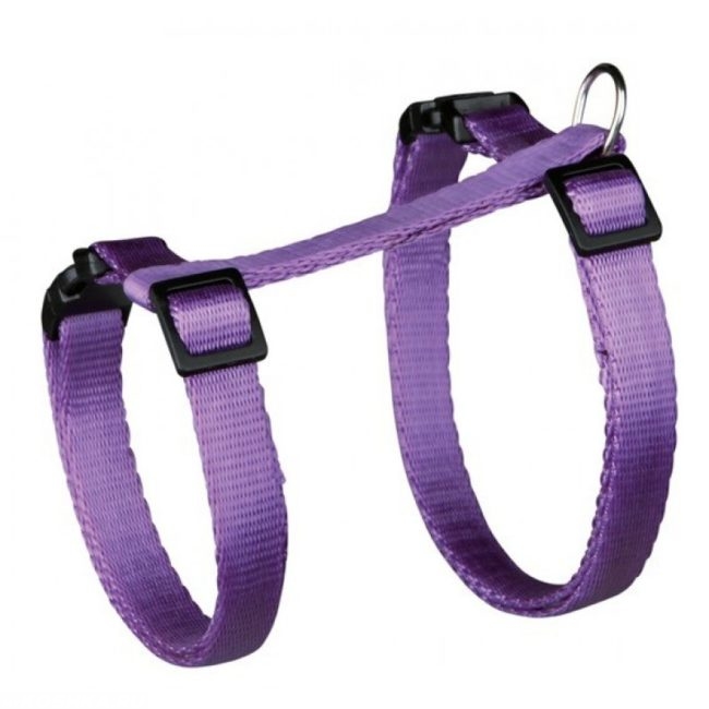Фиолетовая шлейка для кошки