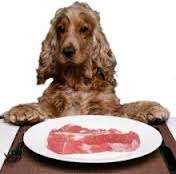 Натуральный рацион питания собаки