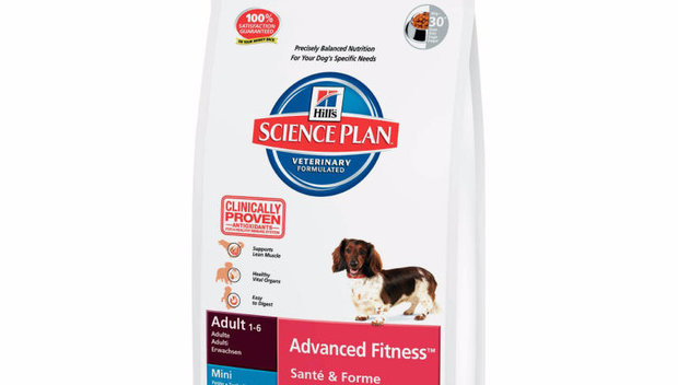 Canine Adult Advanced Fitness Mini
