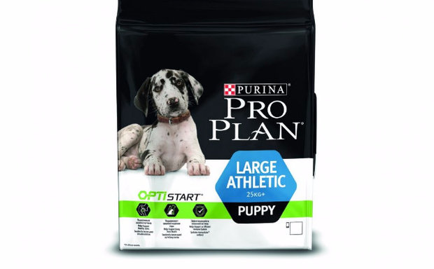 Puppy Large Brееd Athletic