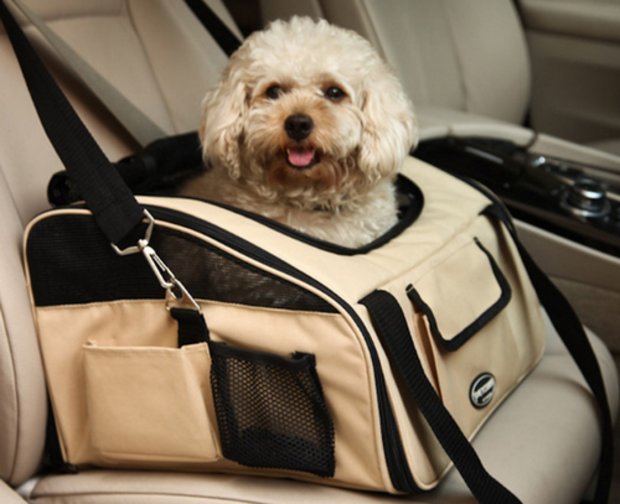 сумка-переноска для собак