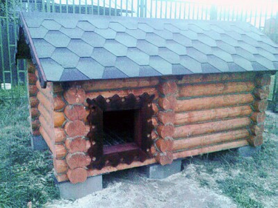 крыша будки для собаки