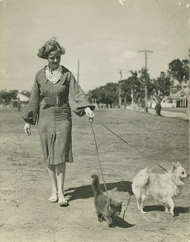 фото старое девушка выгуливает собаку и кота на поводке забавно