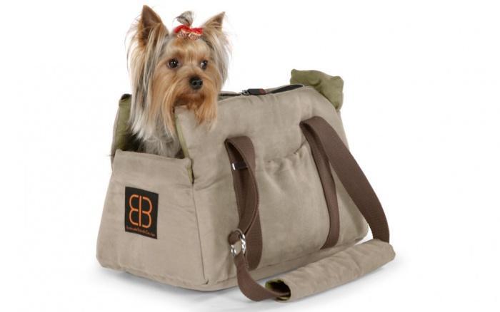 собака в сумке