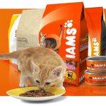 Корм Iams для кошек: состав, виды, отзывы и цена