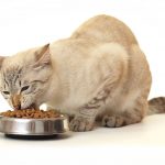 Корм AATU для кошек, состав, виды, отзывы