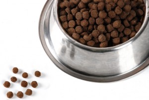 Вреден ли сухой корм для собак и кошек?