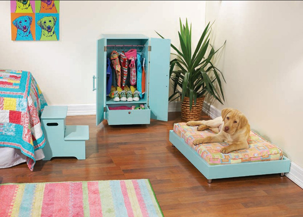 pets-furniture-dogs1