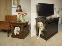 pets-furniture-dogs13