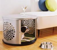 pets-furniture-dogs9