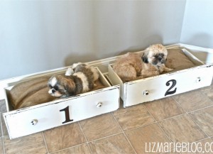 simple-diy-ideas-small-doggie-beds12