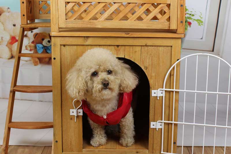 Фото домика из дерева для собак