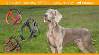 Ferplast - Как надеть шлейку Agila на вашу собаку - RU