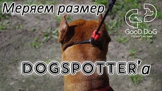 Поводок-корректор Dogspotter | Меряем размер