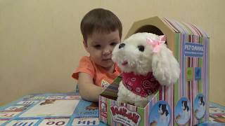 Интерактивная игрушка Собачка с акустическим контролем Распаковка Babe Nelly Unpacking Dog