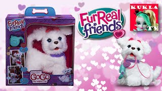 VLOG Магазин игрушек. FURREAL FRIENDS Интерактивный ходячий щенок GoGo и игривый щенок J.J.