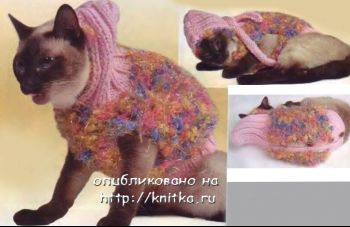 Курточка с капюшоном для кошки. Вязание спицами.
