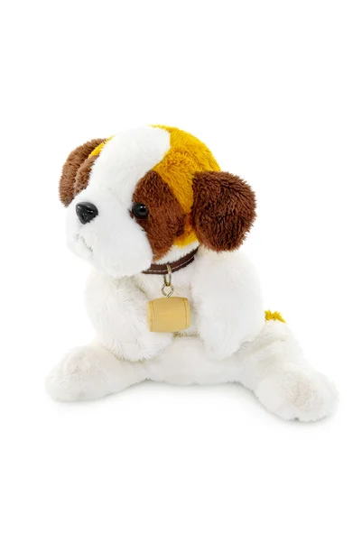 Шикарная игрушка для собаки изолирована на белом фоне — стоковое фото