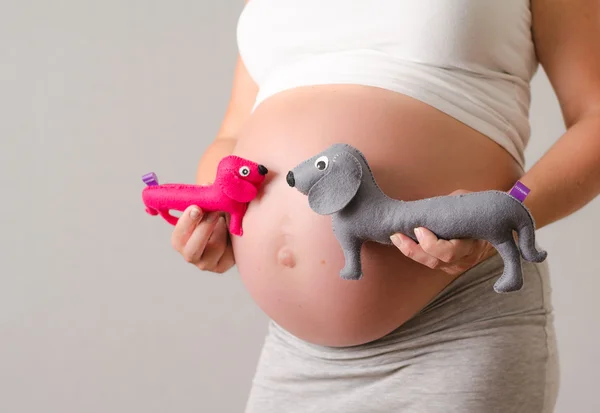 Беременная женщина материнства фотография ее живота с малышом Твин собак девочка и мальчик — стоковое фото