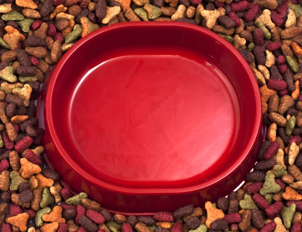 Пустой кошек или собак чашу на фоне сухой корм — стоковое фото