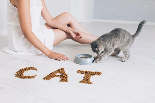 Девушка кормления серый кот — стоковое фото