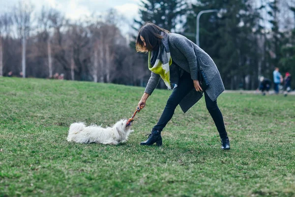 Девочка играет со своей собакой на траве — стоковое фото