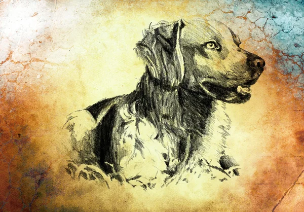 Иллюстрация искусства Смешные собаки на фоне старинных — стоковое фото