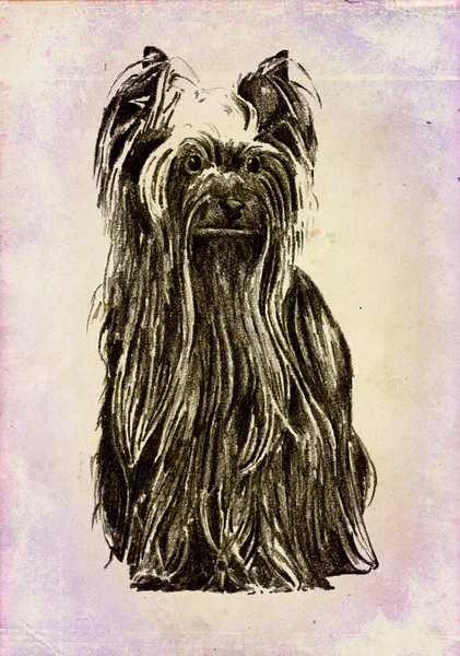 Иллюстрация искусства Смешные собаки на фоне старинных — стоковое фото