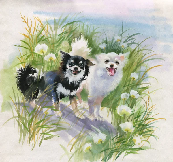 Рука нарисованные собак на природе — стоковое фото