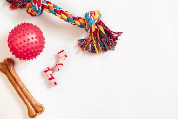 Собака игрушки: красочные хлопок собака игрушка и розовый шар на белом фоне — стоковое фото