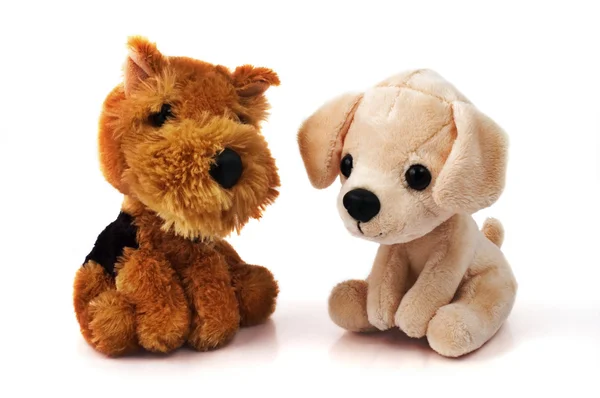Две собаки игрушки — стоковое фото