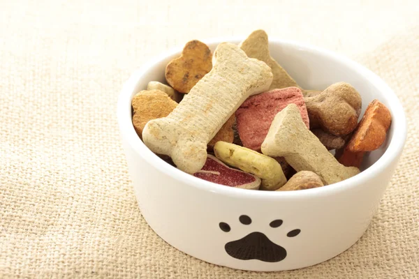 Собака продовольствия в миске — стоковое фото