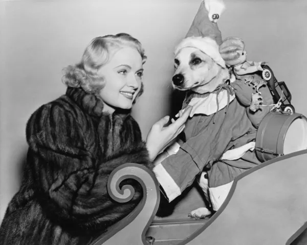 Женщина с собакой в новогодний наряд — стоковое фото
