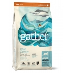 Корм GATHER organic (Petcurean) органический корм для собак с океанической рыбой, GATHER Wild Ocean Fish DF, 2.72 кг