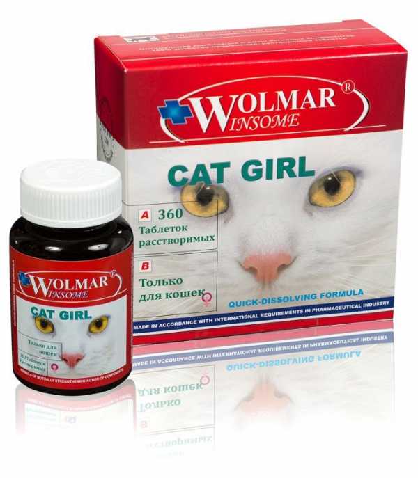 Глаукома у кошек фото