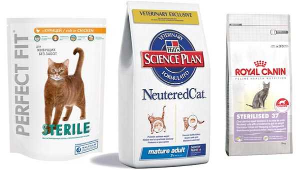 Премиум и суперпремиум корма для кошек