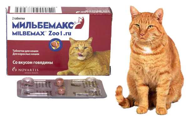 Таблетки мильбемакс для кошек инструкция